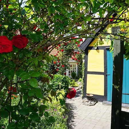 Hyggelige Vaerelser I Maribos Gamle Bydel * 马里博